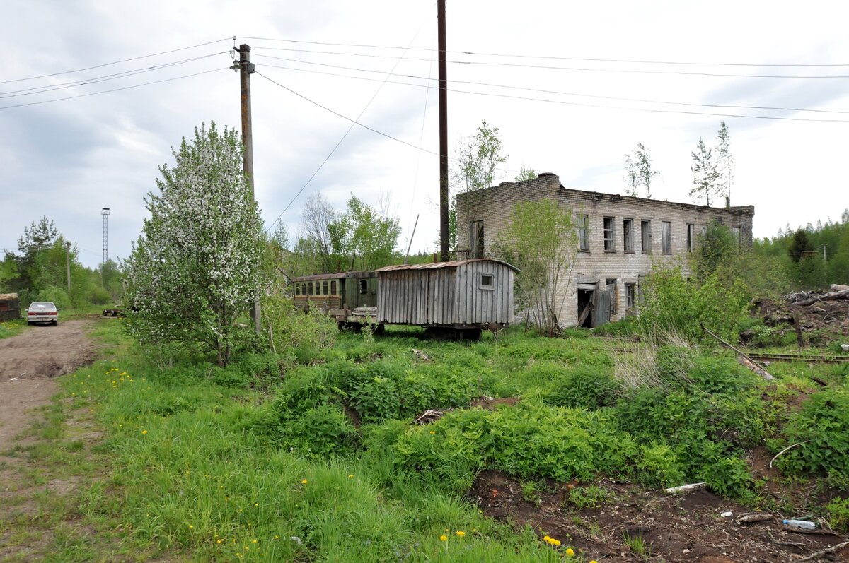 Остатки Лычковского ЛПХ и брошенные вагоны.