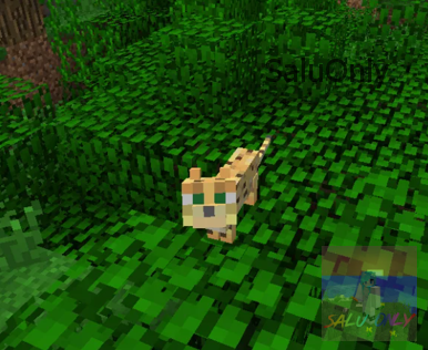 Оцелот в Майнкрафт