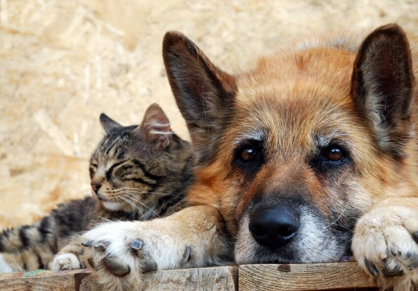 источник https://v-kurse.ru/upload/iblock/0a8/0a8819b2fe3529a3415f1aaa2c399857.jpg