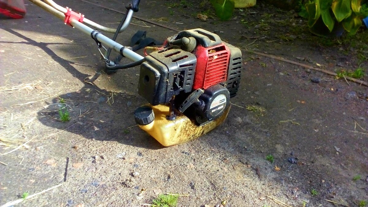 наша помошница