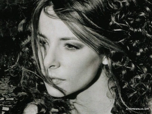 Яндекс.картинки