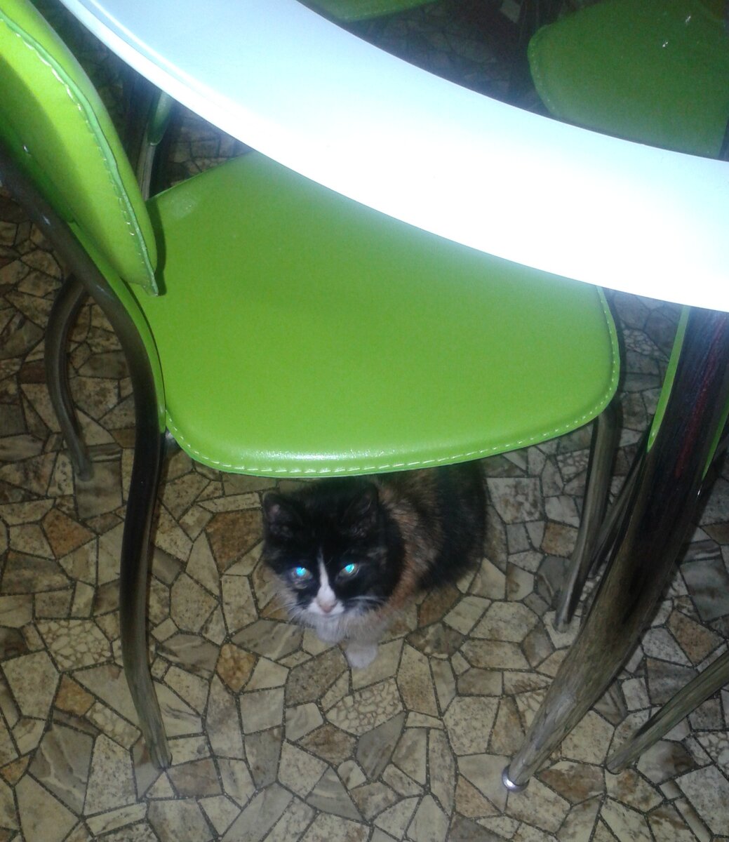 Моя Ксюшка. 