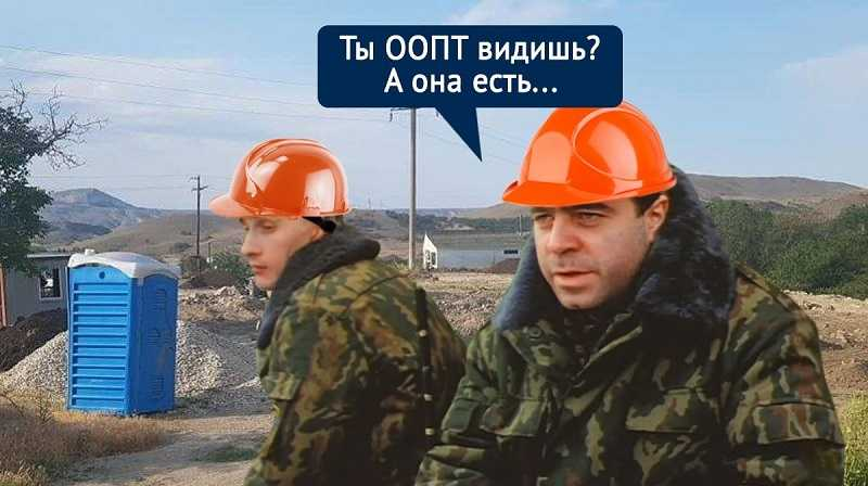  Фото: Коллаж ForPost    