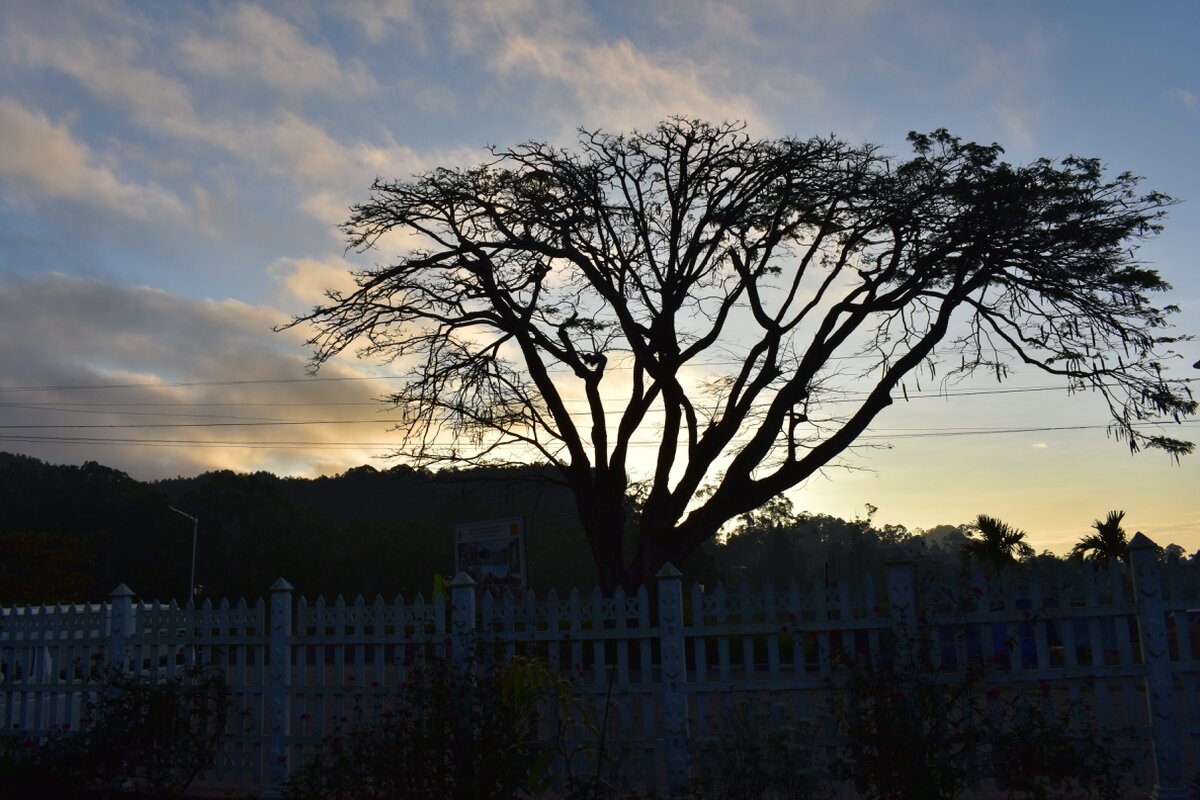 Восходит солнце возле станции. Элла. 