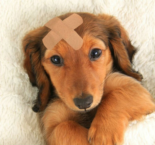 Расстройство координации и равновесия