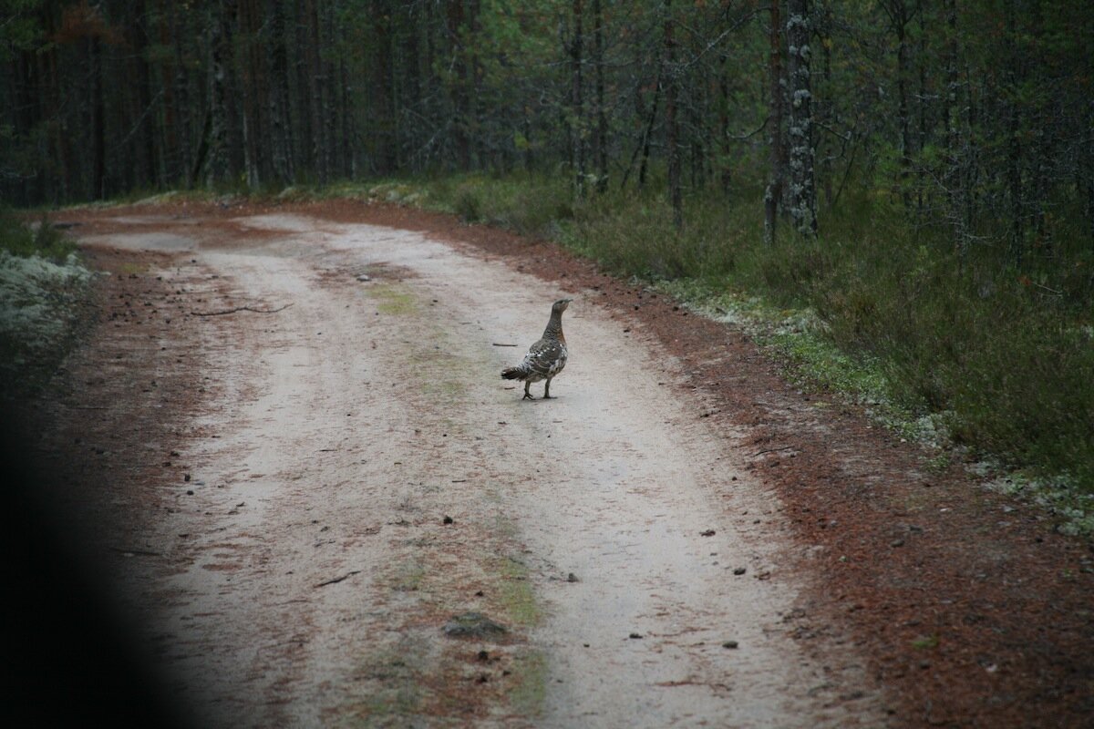 Фото автора.