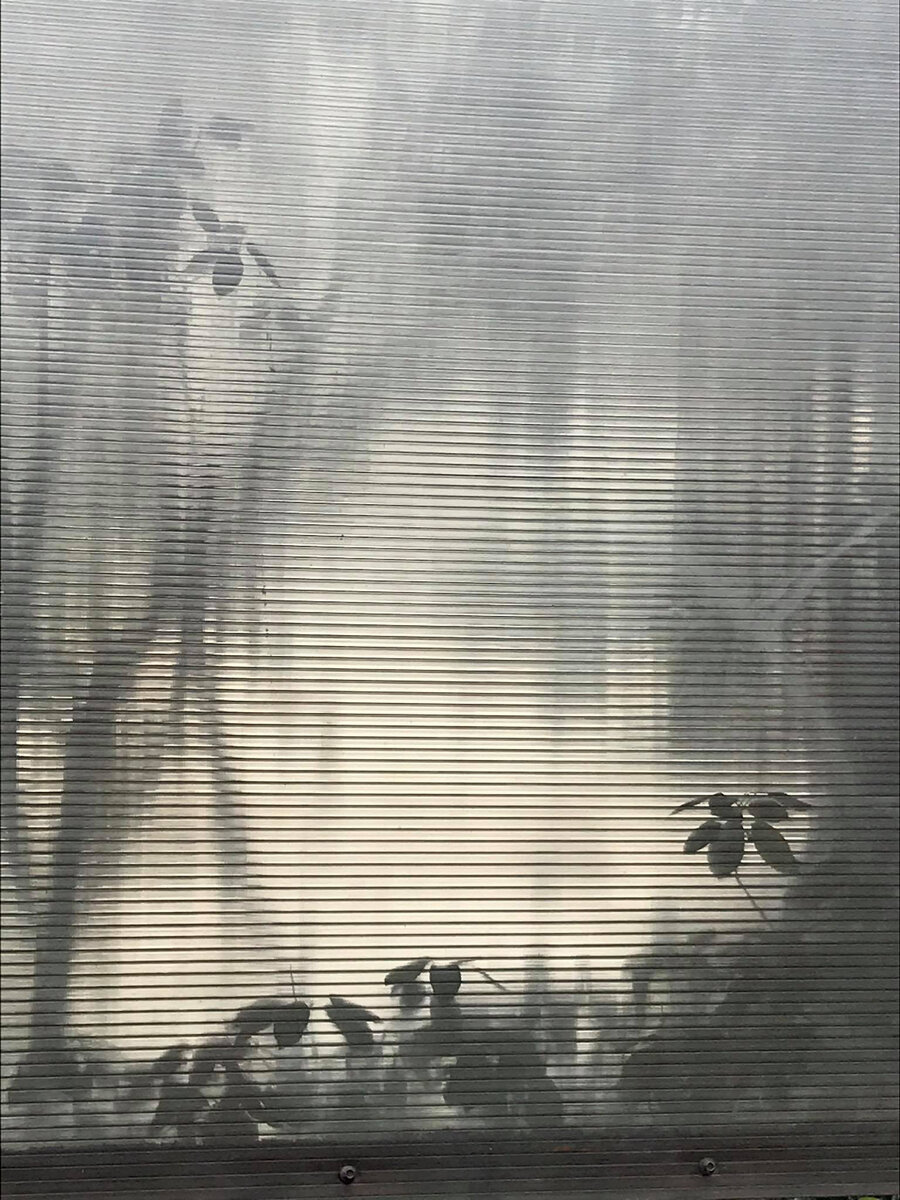 Все права на размещённые здесь фотографии принадлежат мне.