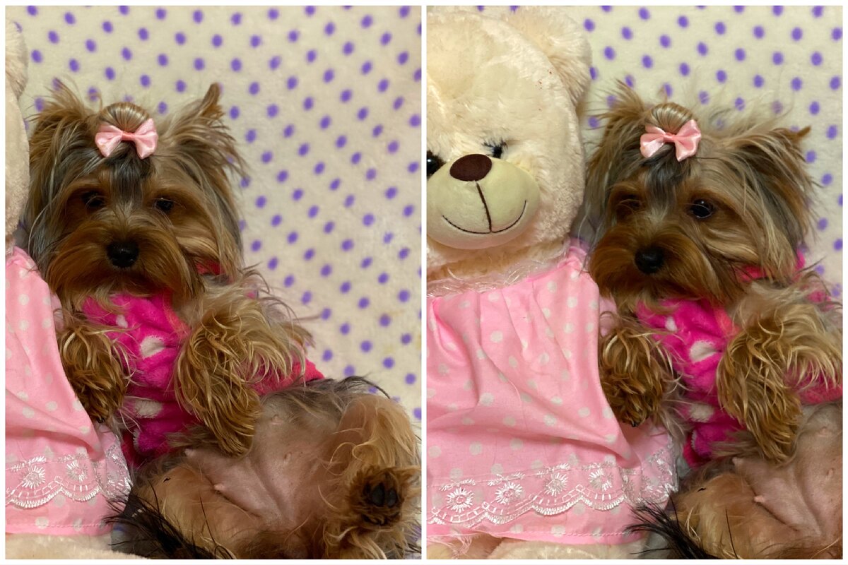 Наша крошка