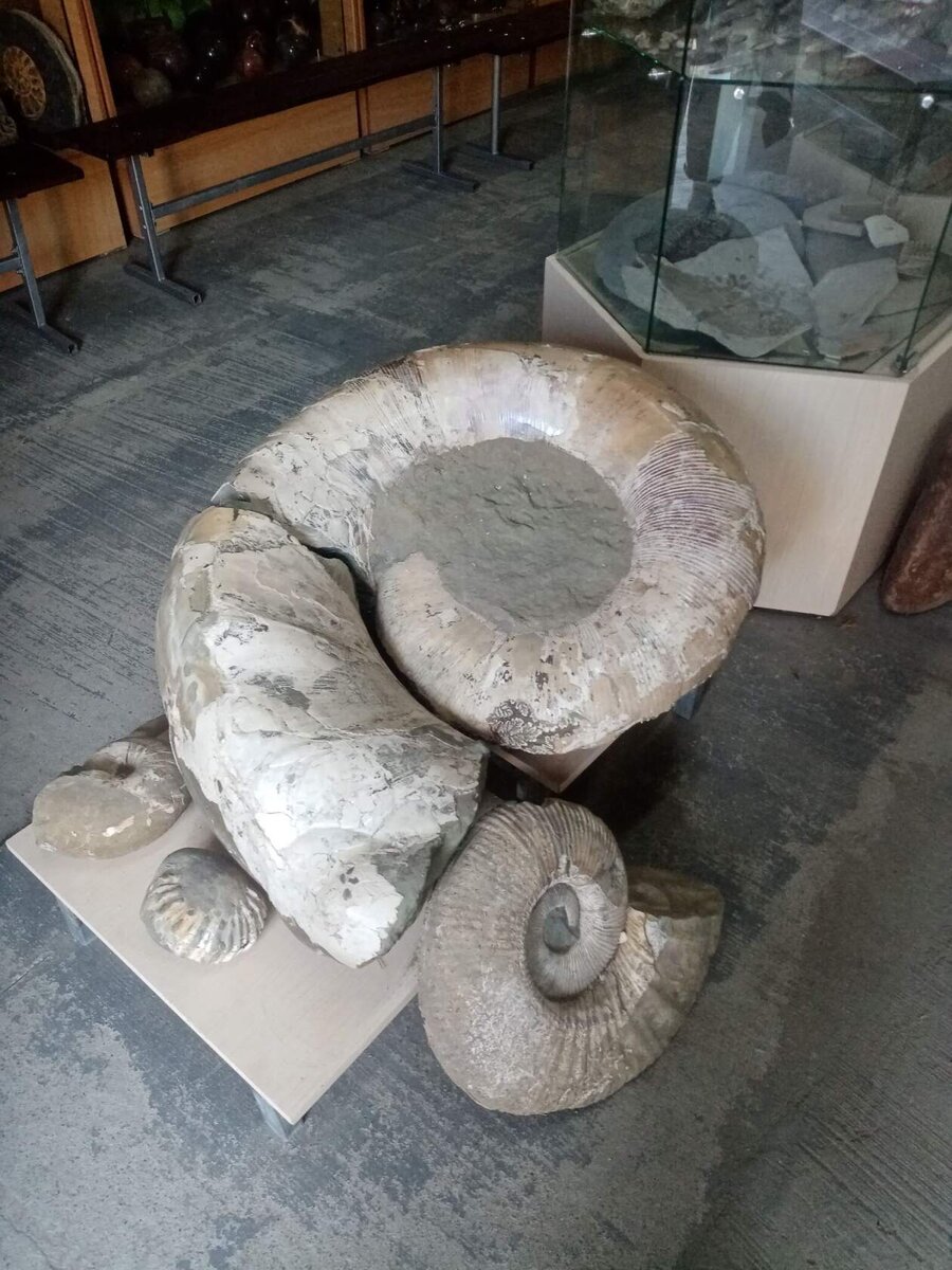 Музей '' Сад камней'' 