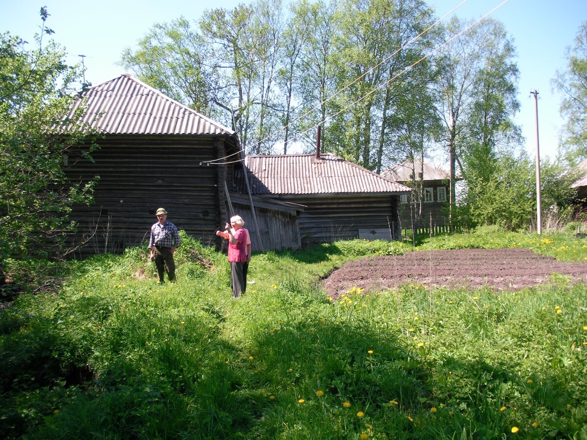 Фото автора