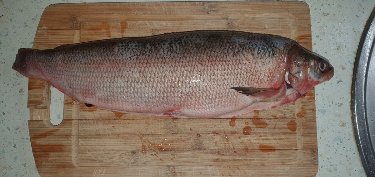 Свежая рыбка. 