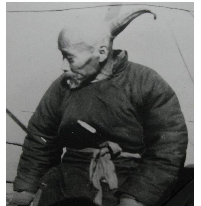 Ван человек-единорог