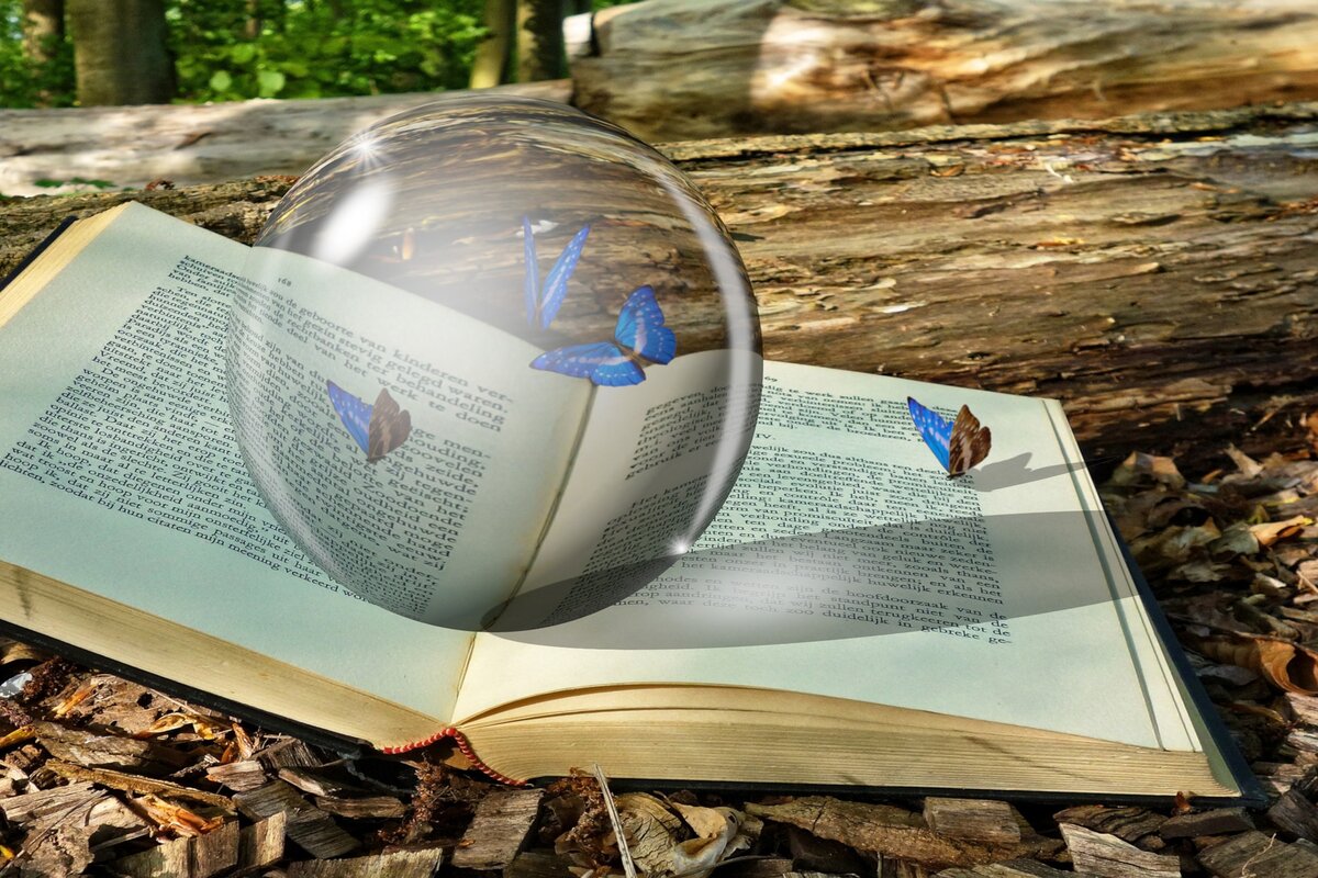 С сайта Pixabay