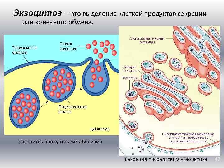 Знакомство с новыми приемами способами изображения происходит при помощи