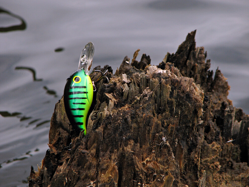 Жаль такую приманку оставлять.... Фото: fishmasters.com