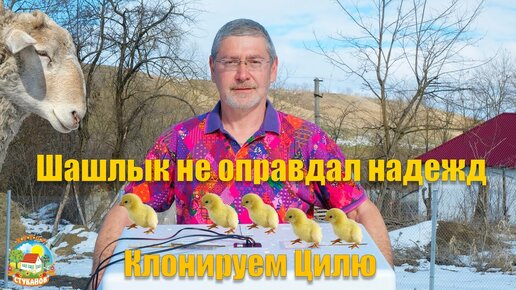 #144 Весенняя погода на хуторе. Купили инкубатор.