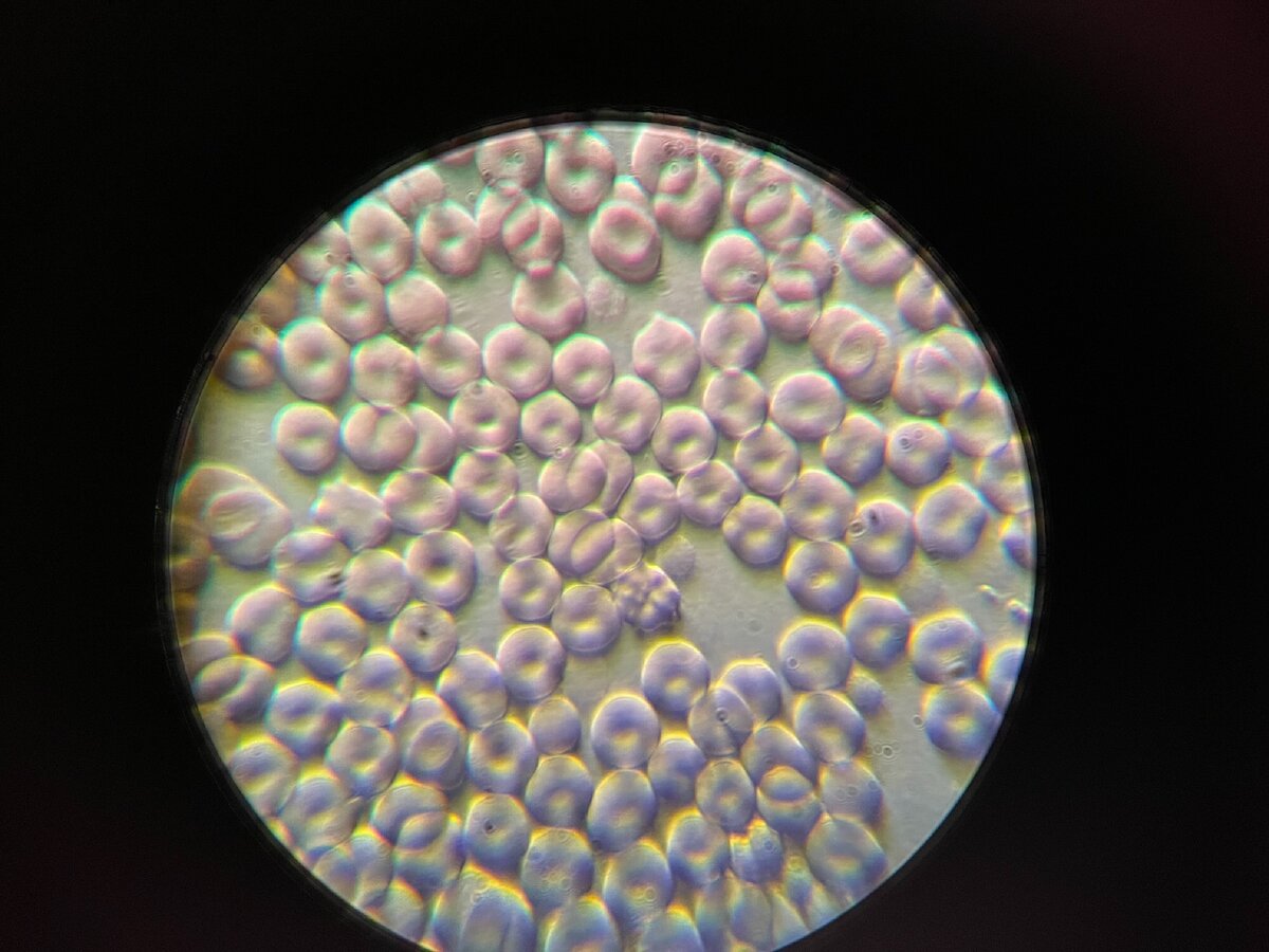 После какао