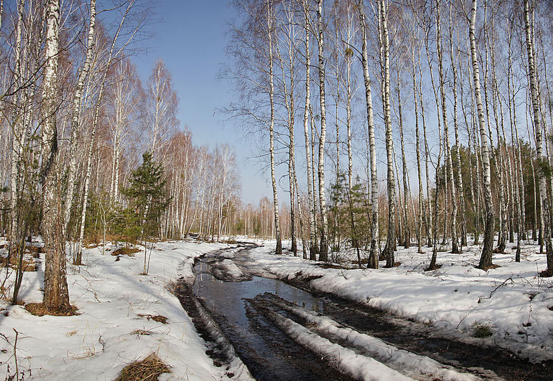 Весенний пейзаж. Весенняя природа. Март природа.