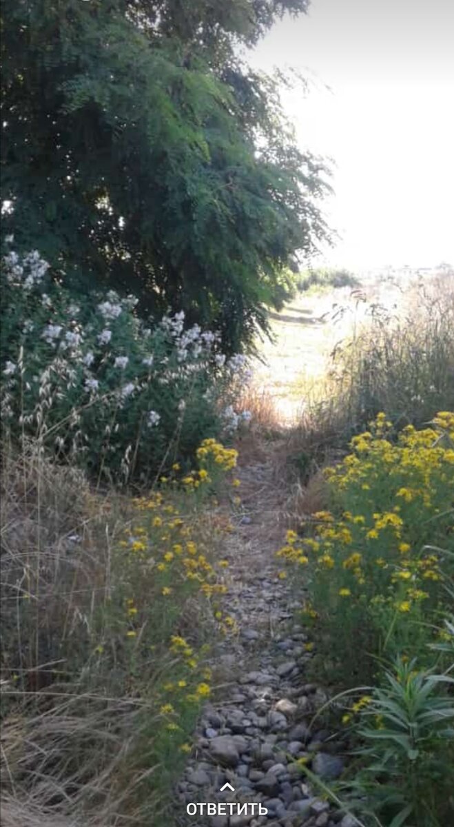 Дорога домой. Фото автора. 