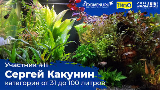 Травник 99 л. Участник №11 в категории от 31 до 100 литра. #Scalariki​ Aquascaping Contest 2021