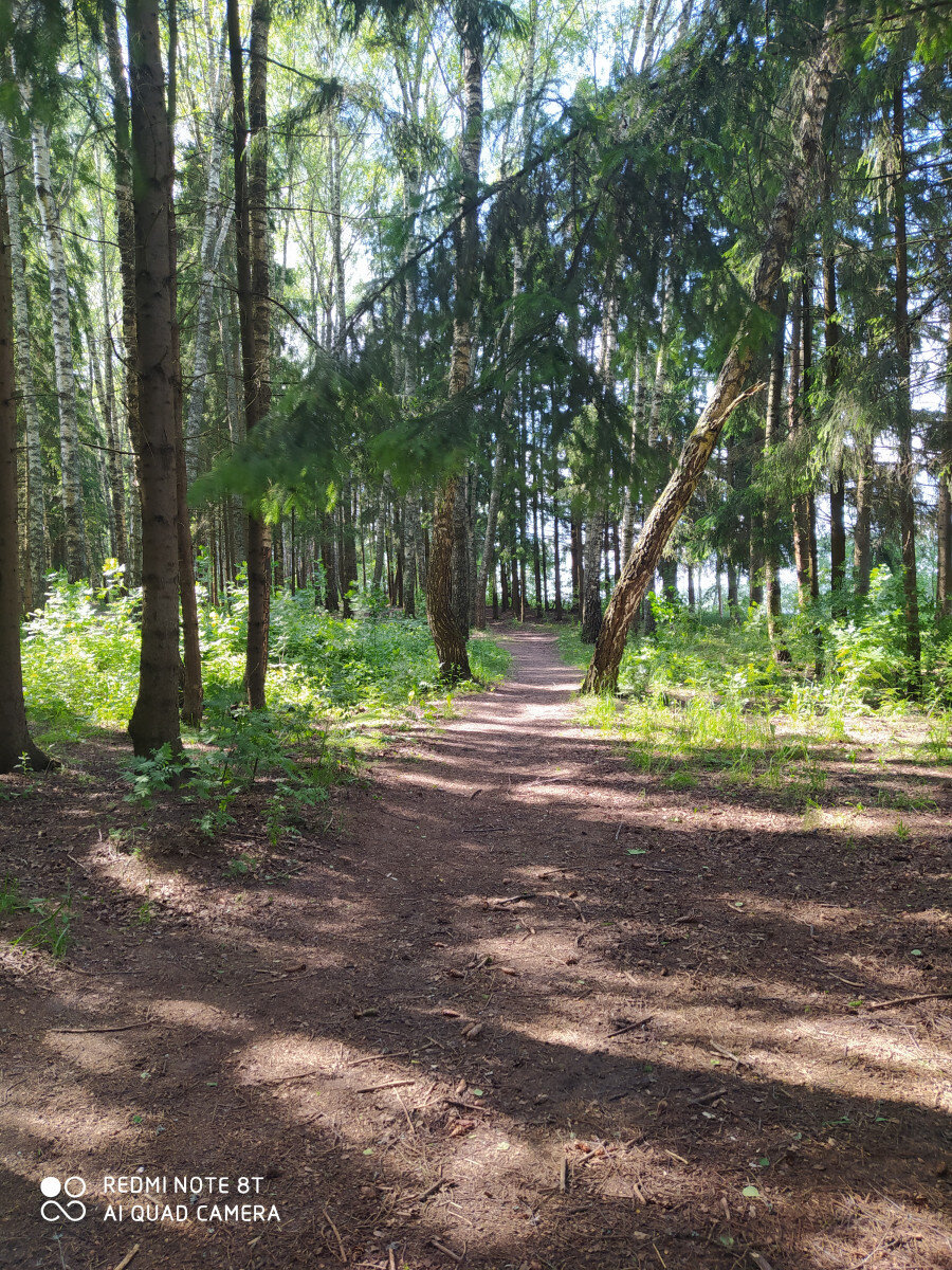 

         Как замечательно, вспоминать о том, что ещё две недели отпуска. И можно никуда не спешить и наслаждаться теплыми, летними деньками, купаться и загорать. И набравшись сил снова приступить к работе!