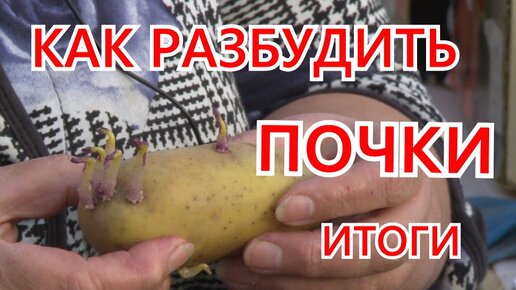 Как разбудить желание в спящей женщине