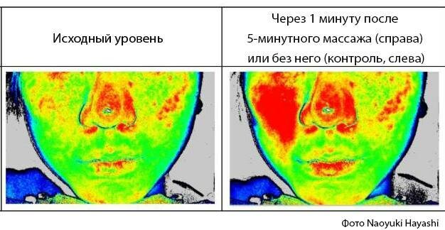 Фотография взята из источника fotokto.ru