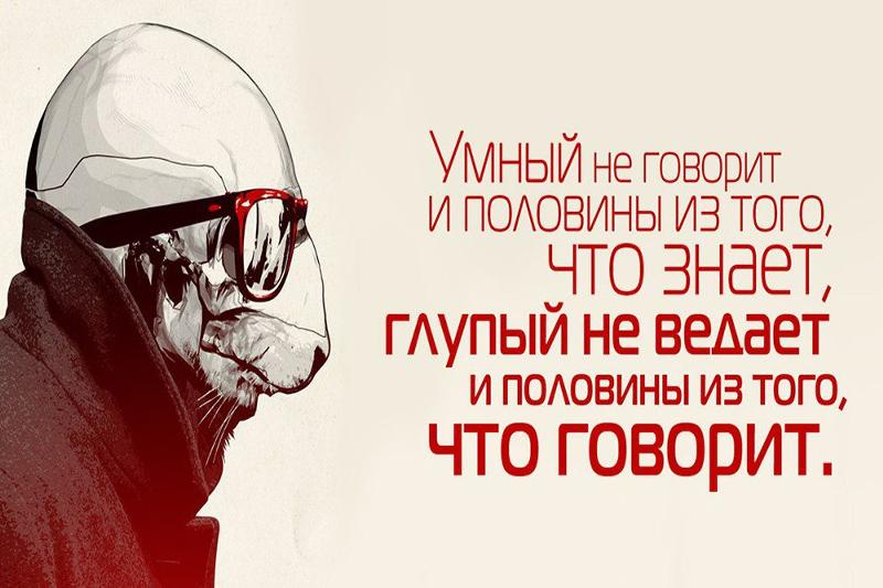 Умный и знающий. Цитаты про умных и глупых. Высказывания о глупых людях. Цитаты про умных и глупых людей. Афоризмы про глупость