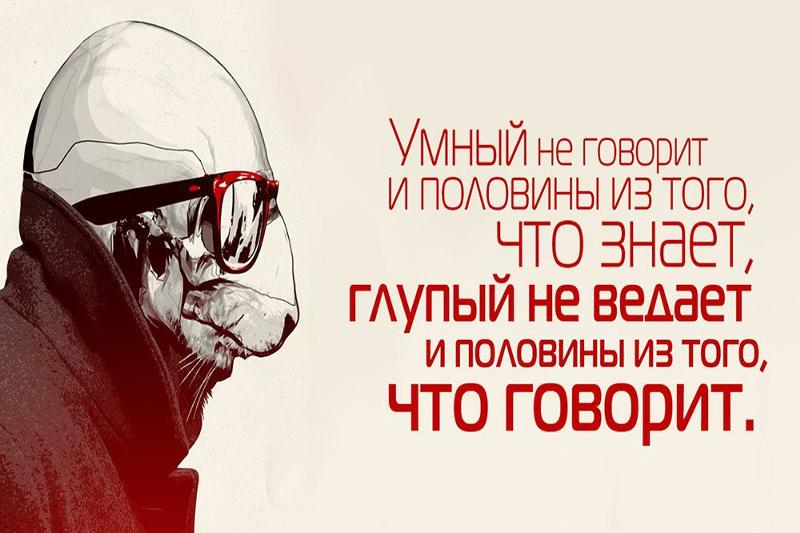 Люди всегда будут говорить. Цитаты про умных и глупых. Высказывания о глупых людях. Цитаты про умных и глупых людей. Афоризмы про глупость.