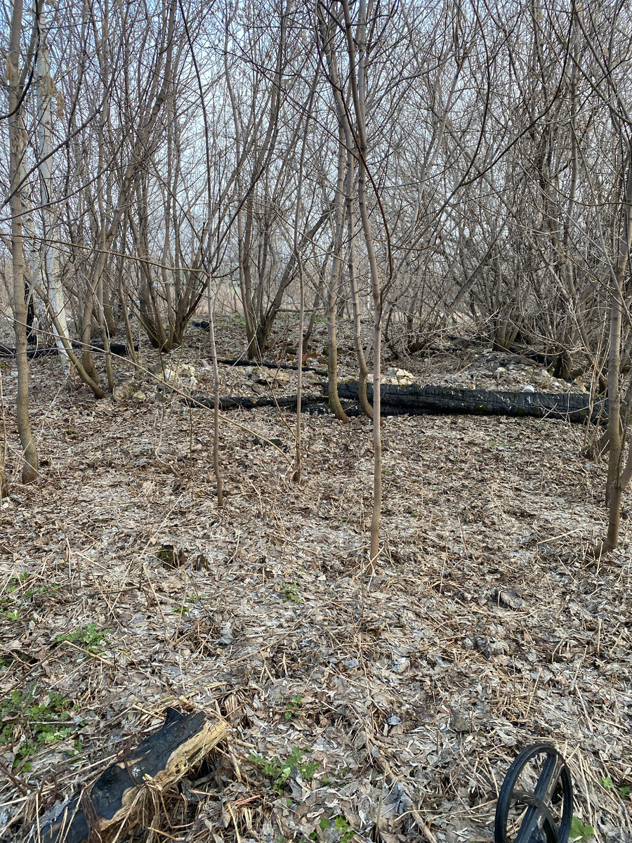 Находки из деревенского оврага: некоторые, рука не поднялась сдать в ...