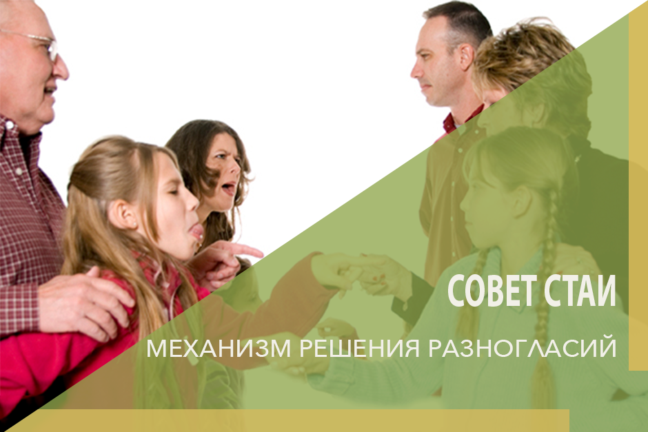 Как выйти из конфликта, не выходя из контакта