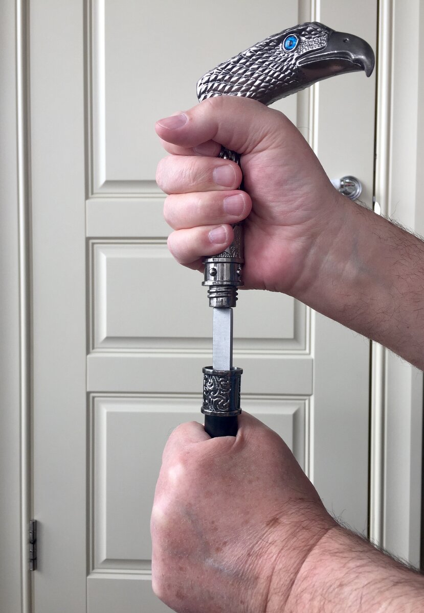 Это мои руки и моя трость