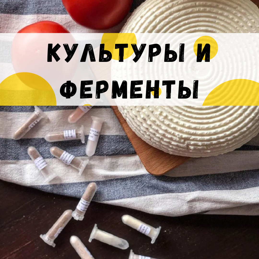 Сыровер интернет магазин. ООО "секреты сыроделия". Секреты сыроделия прикол. Продуктивного сыроделие пожелание.