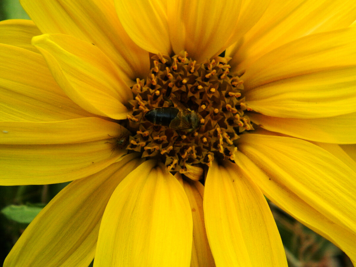 фото автора канала 