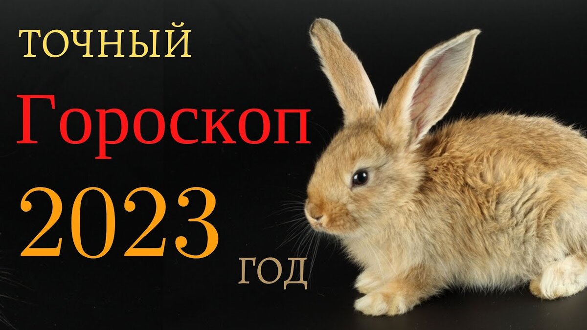Что ждать от 2023 года Кролика: как планеты повлияют на Стрельца, Козерога, Водолея и Рыб