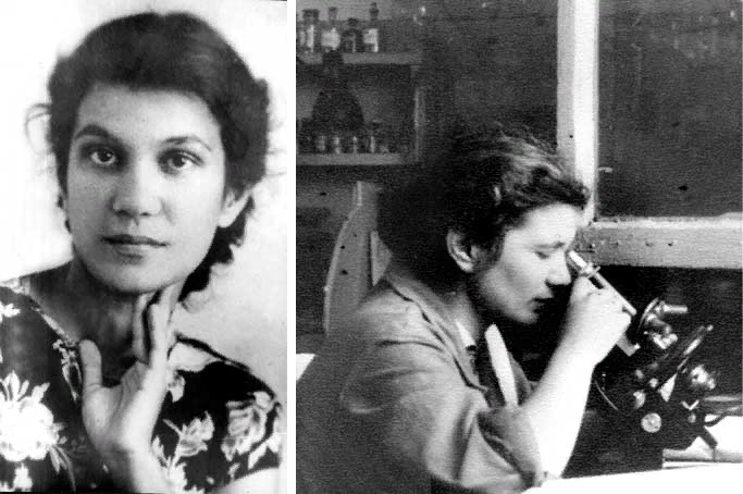 Наталья Николаевна Панкова, химик. (1924-1991). 35 лет проработала в Научно-Исследовательском Институте Органических Полупродуктов и Красителей.  (Фотография из блога Цыганская интеллигенция. Ссылка http://www.gypsy-life.net/foto-03.htm)