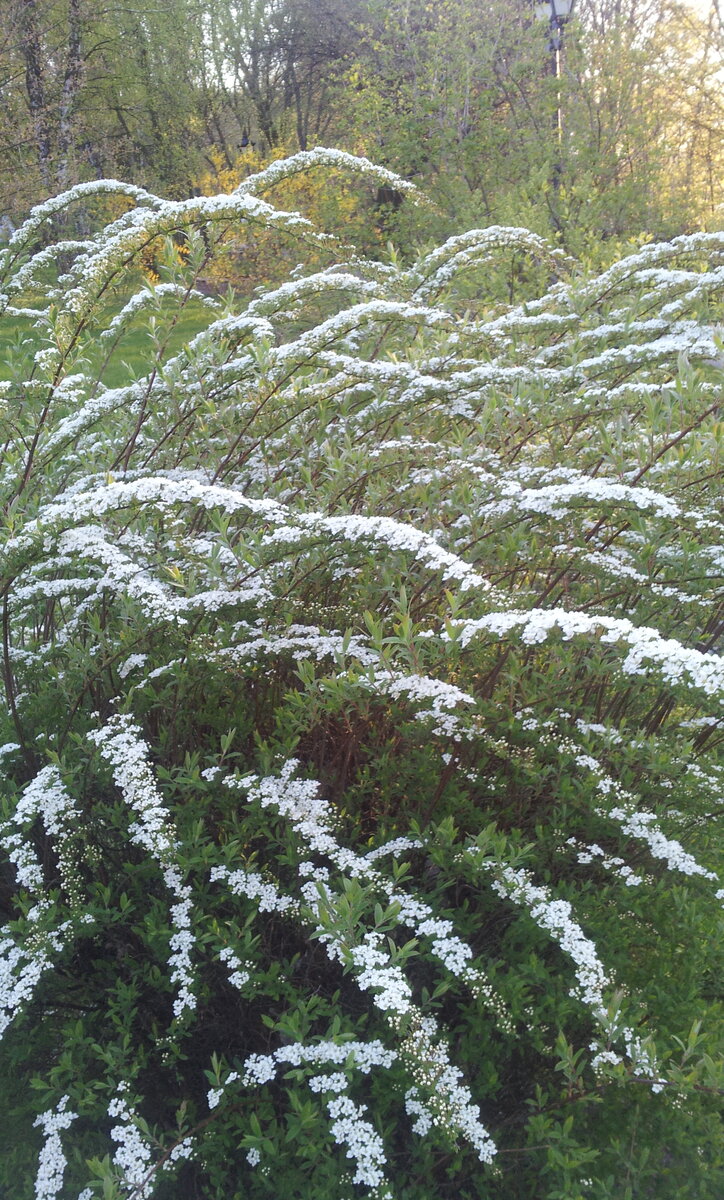 Заработок на отзывах может быть достойным