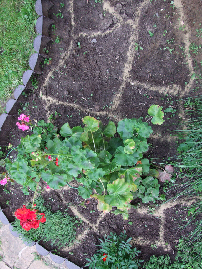 Сегменты будущего цветника намечаем песком. Фото: Ольга Воронова