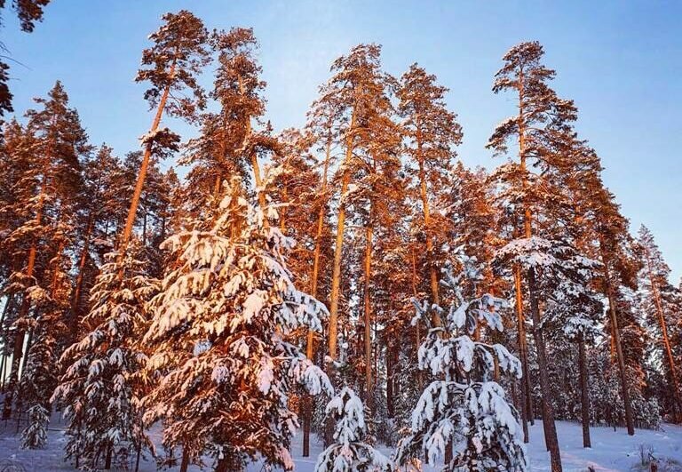    Оренбуржцам назвали 5 интересных фактов о зимнем солнцестоянии Кристина Просвиркина