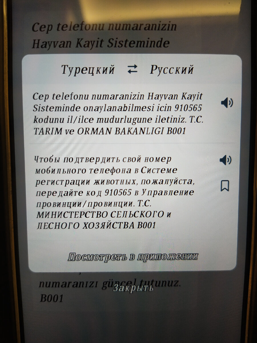 Наша кошка получила второй паспорт. Турецкий. Зачем? | С кошкой в Турцию |  Дзен