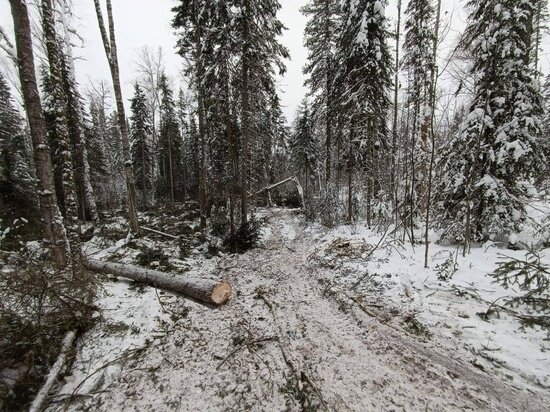     ФОТО: ПРОКУРАТУРЫ ТОМСКОЙ ОБЛАСТИ