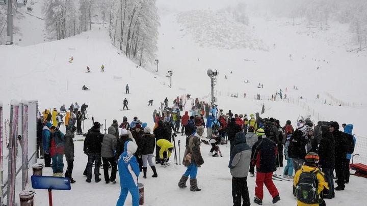 Фото: мэрия Сочи