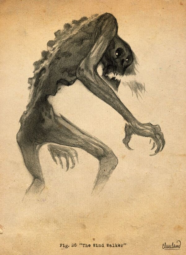 Изображение взято на сайте pinterest.com