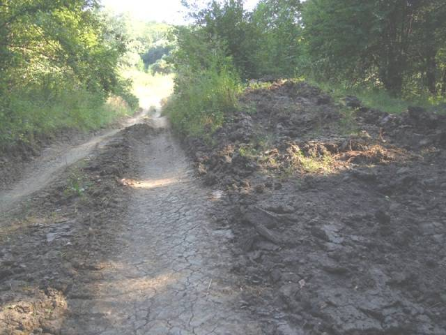 4 сентября 2014 года Теперь о другом. Сейчас на самой восточной Богатырской поляне работают лесозаготовители. Ниже показаны результаты их деятельности.-8