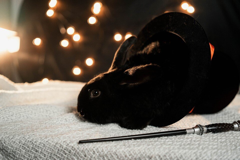     Гороскоп на первый день Нового года Мария Бакланова