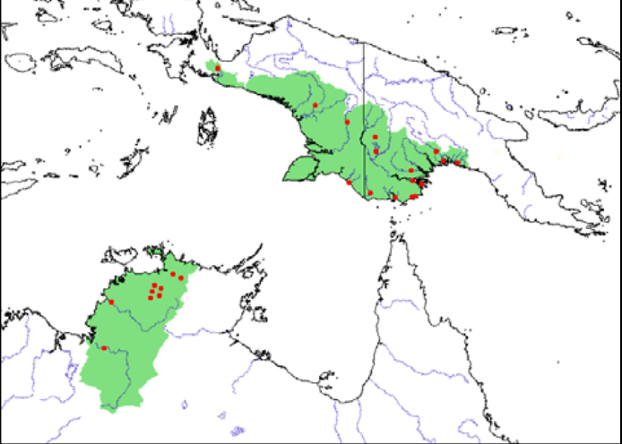 Красные точки: литературные и музейные данные, основанные на опубликованных статьях, а также более поздних авторских данных; зеленая заливка: прогнозируемое распределение на основе соединения известных точек, гидрологических данных, высотных данных, аналогичных биотопов.

