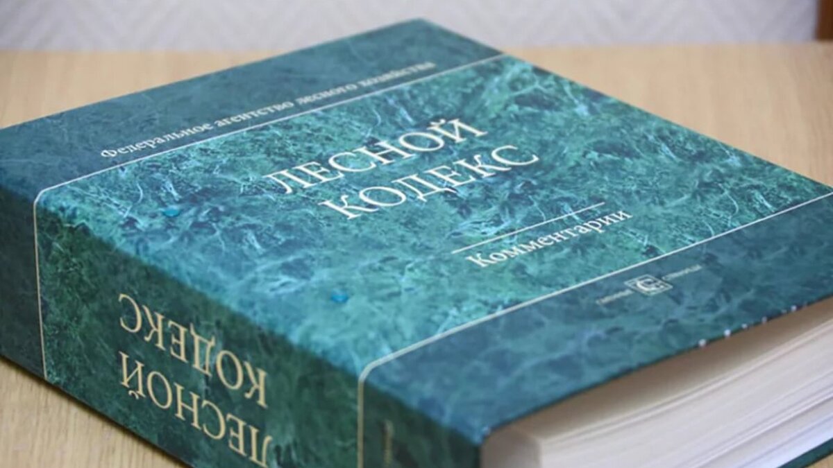 Новое в лесном законодательстве 