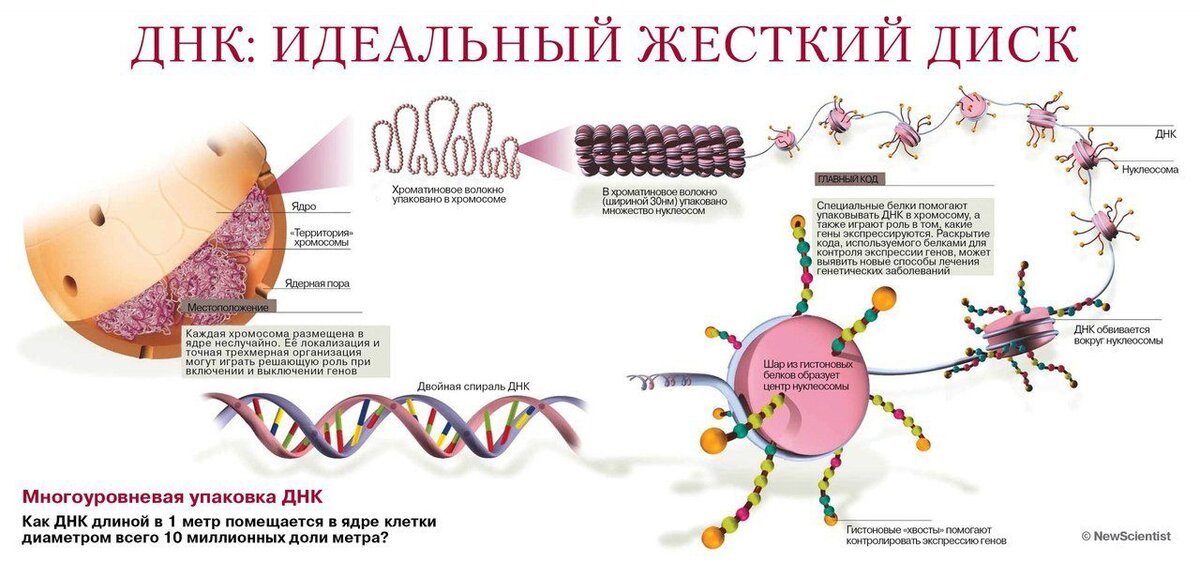 Картинка из свободных источников интернета 