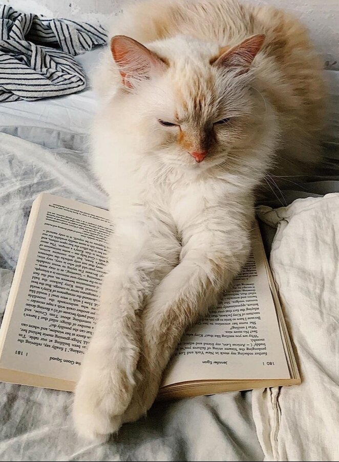 Источник: Яндекс картинки