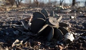    Фото: dnr-news.com Ирина Амелина